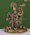 Shreenathji