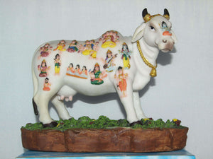 Cow Sacred 6.5"